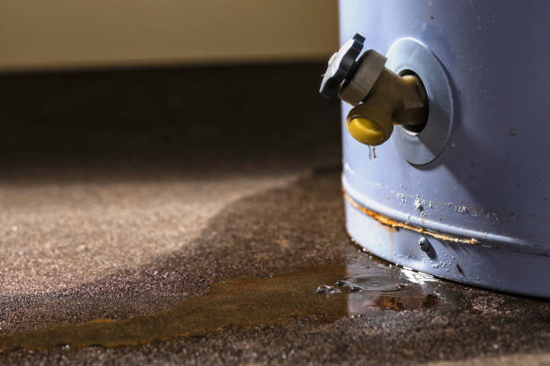 Best Residential water damage restoration  in Powers Lake, WI