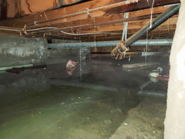 Carpet water damage restoration in Powers Lake, WI
