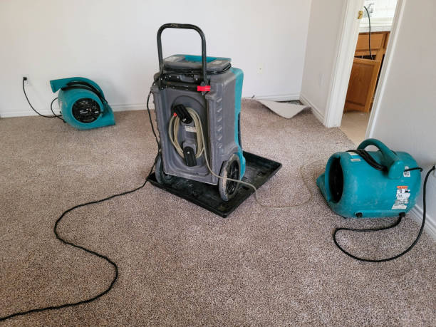 Best Flood restoration services  in Powers Lake, WI