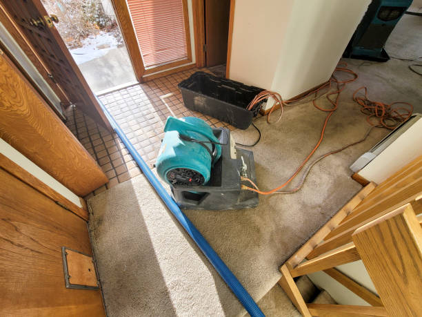 Best Mold removal after water damage  in Powers Lake, WI