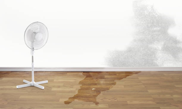 Best Flood damage cleanup  in Powers Lake, WI