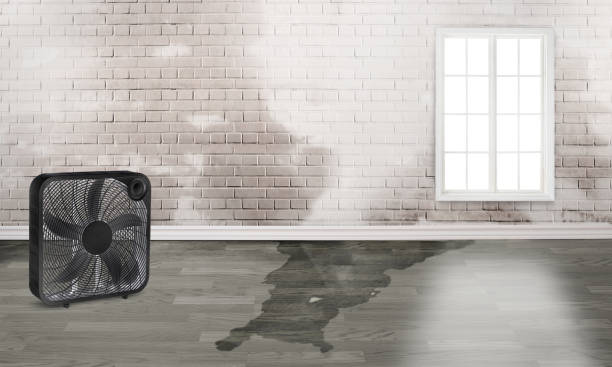 Best 24-hour water damage restoration  in Powers Lake, WI