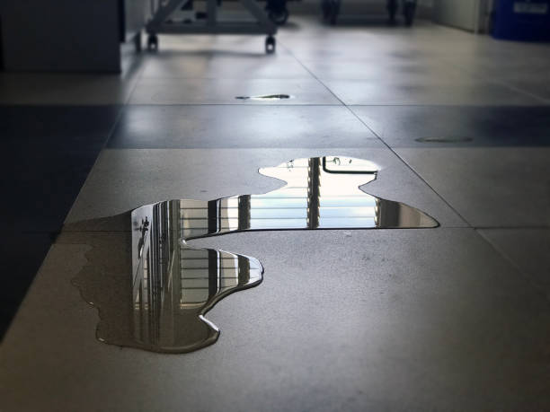 Best Water damage cleanup near me  in Powers Lake, WI