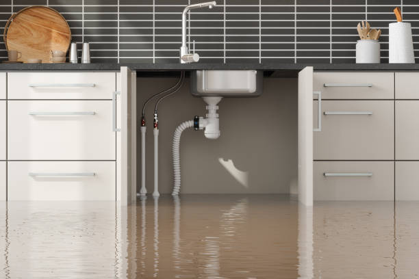 Best Professional water damage repair  in Powers Lake, WI