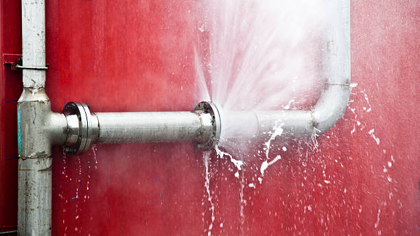 Best Professional water damage repair  in Powers Lake, WI